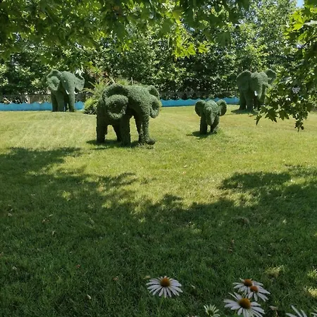 Messembria Palace Bulgaria * Slantschew brjag