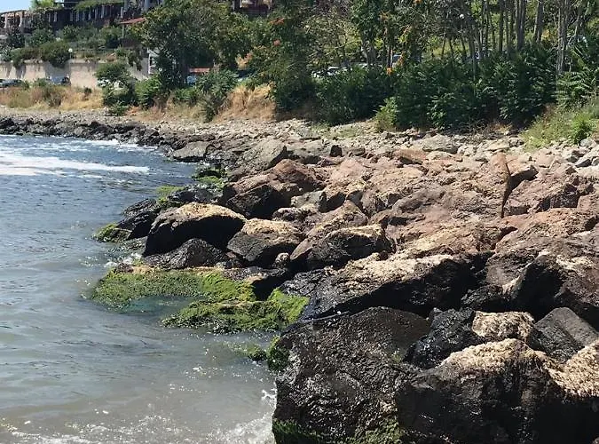 Messembria Palace Bulgaria Sunny Beach